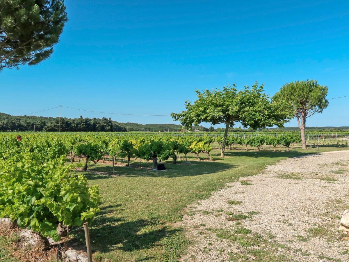 Holiday Home La Cardeline By Interhome Grillon Extérieur photo